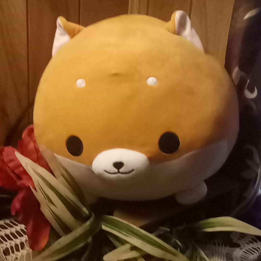 Squishmallow 🦊 Fox